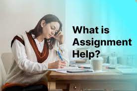 Assignment Help Portal
